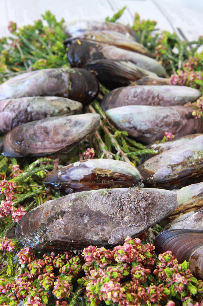 Serendipity Wilderness Restaurant | Luxury Guest House