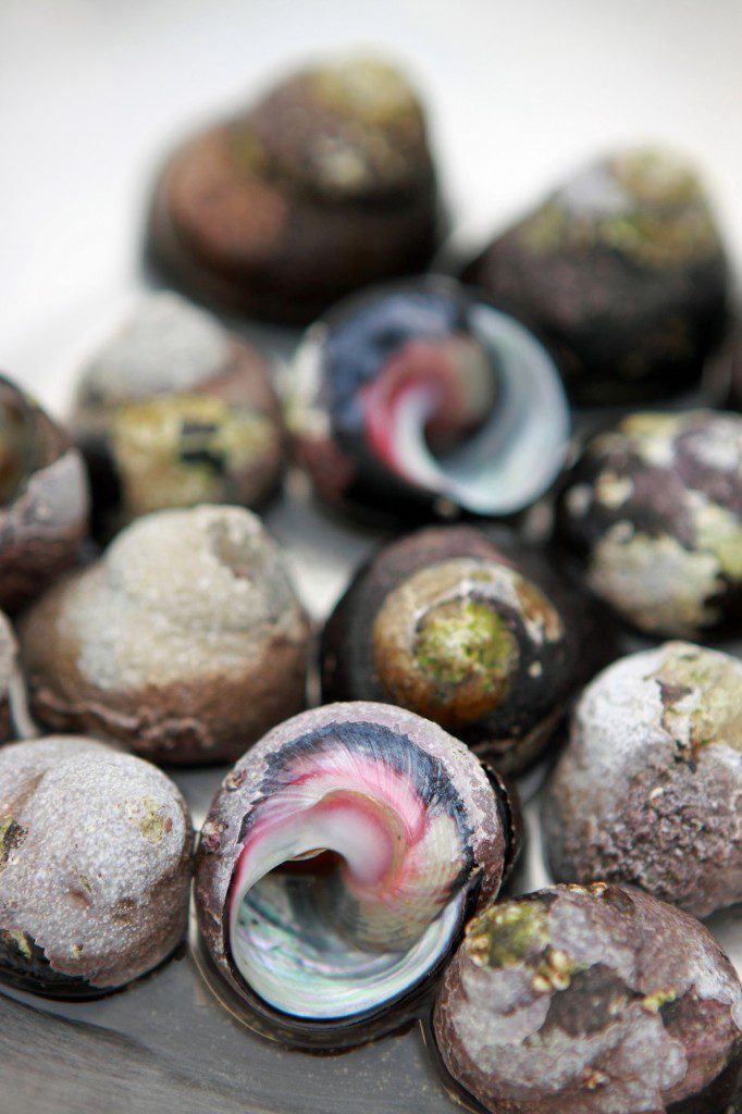 Serendipity Wilderness Restaurant | Luxury Guest House