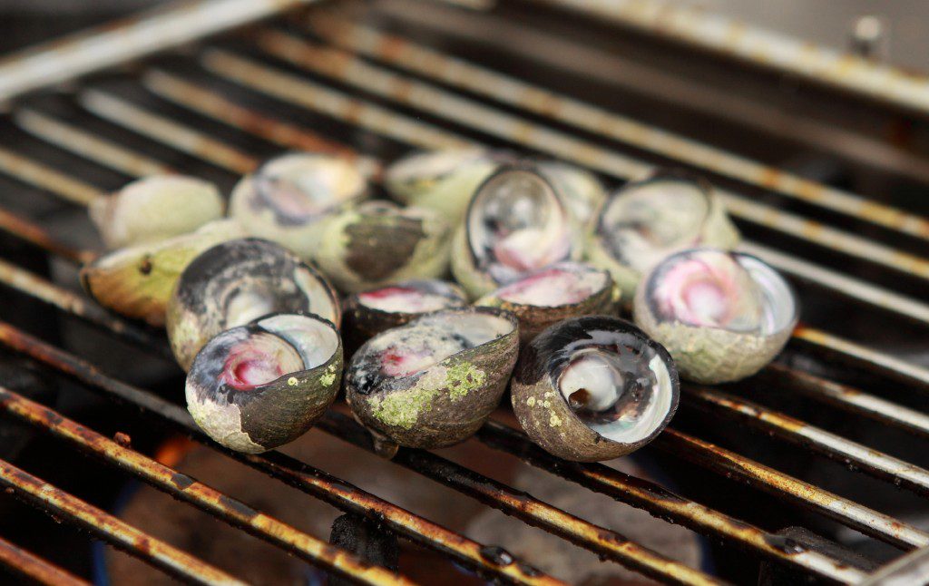 Serendipity Wilderness Restaurant | Luxury Guest House