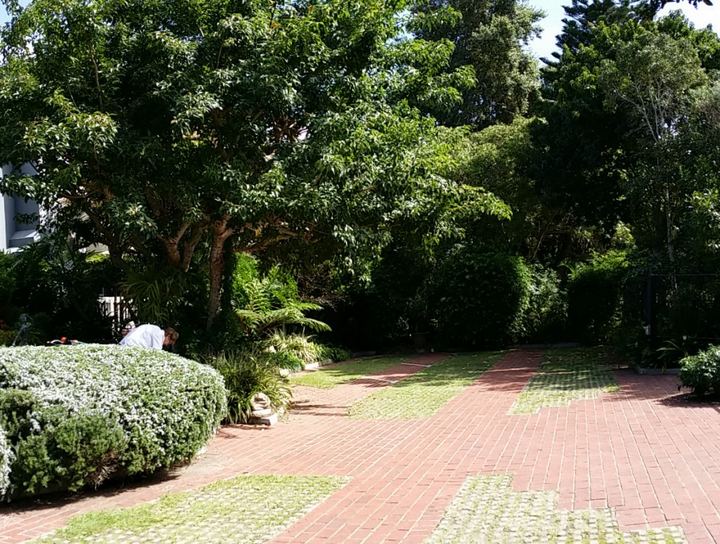 Serendipity Wilderness Restaurant | Luxury Guest House