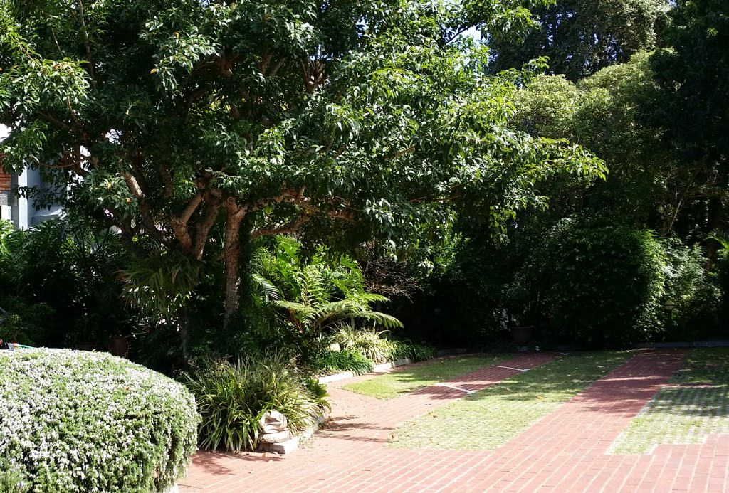 Serendipity Wilderness Restaurant | Luxury Guest House