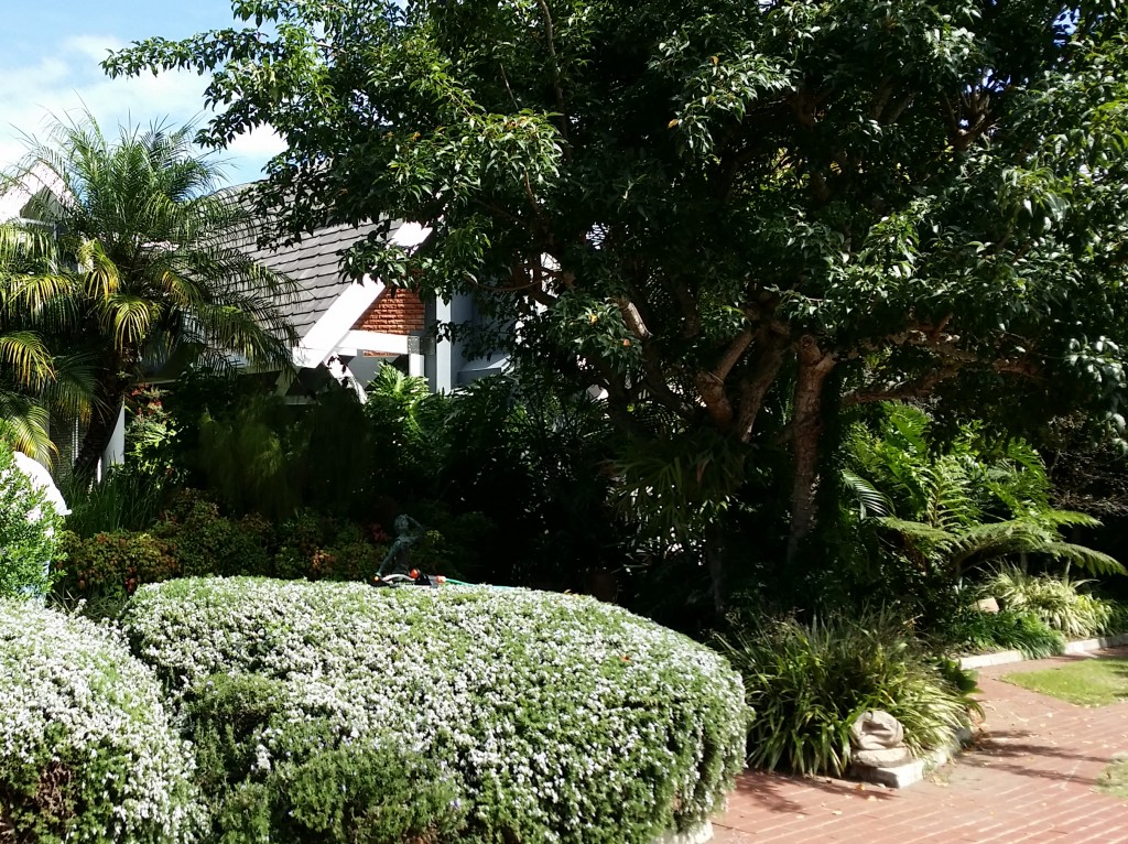 Serendipity Wilderness Restaurant | Luxury Guest House