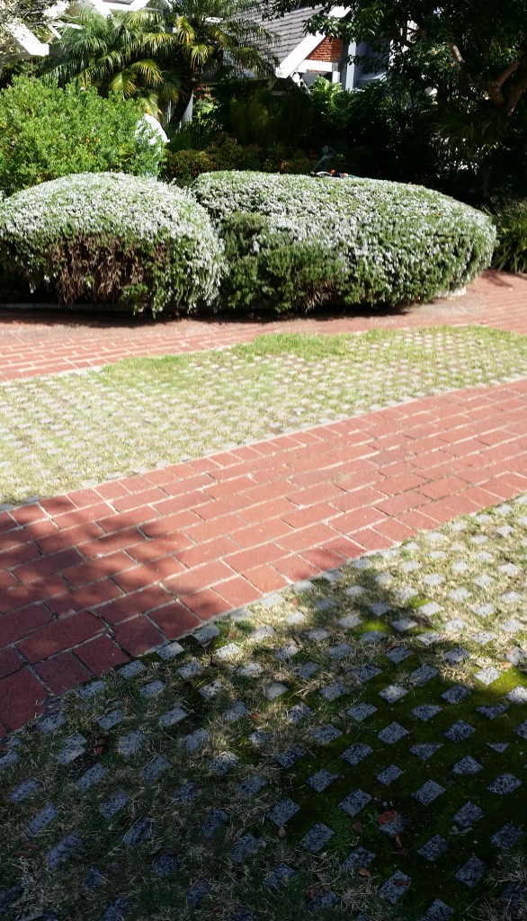 Serendipity Wilderness Restaurant | Luxury Guest House