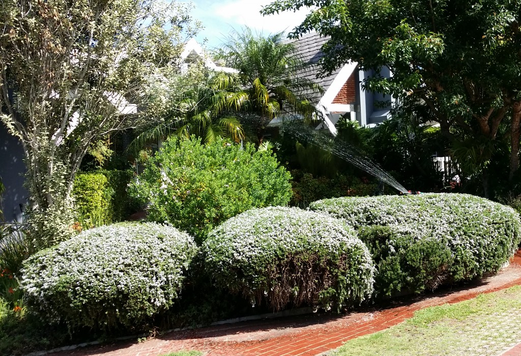 Serendipity Wilderness Restaurant | Luxury Guest House