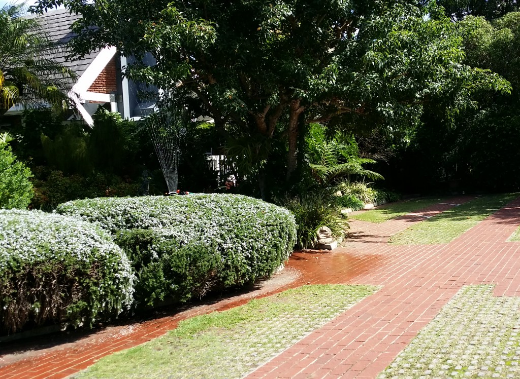 Serendipity Wilderness Restaurant | Luxury Guest House